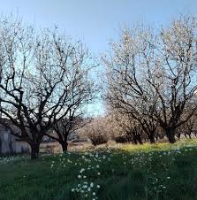 Découvrez les partenaires de Sport Nature Ardèche ! Collaborations avec des acteurs locaux pour vous offrir les meilleures expériences.